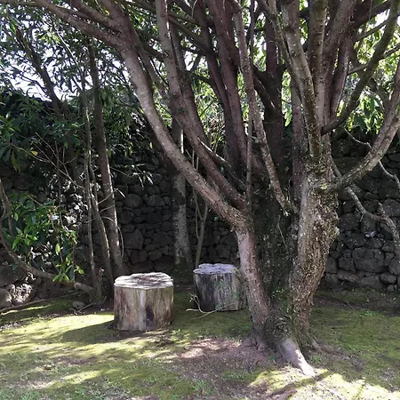 Sermar Privatunterkunft Rabo de Peixe