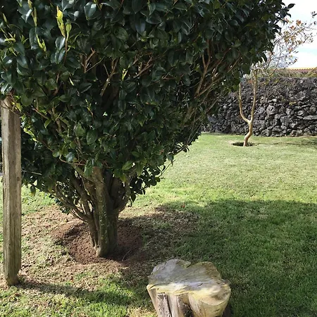 홈스테이 Sermar Rabo de Peixe