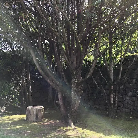 Sermar * Rabo de Peixe