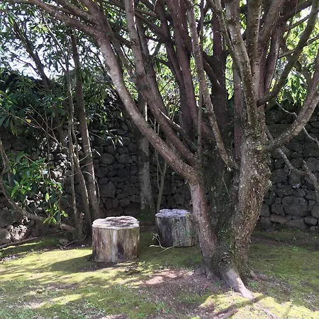 Privatunterkunft Sermar