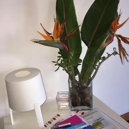 Privatunterkunft Sermar