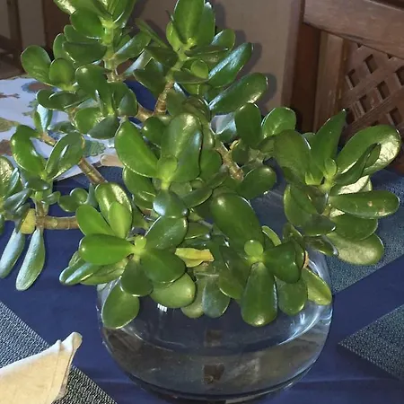 Sermar Privatunterkunft *