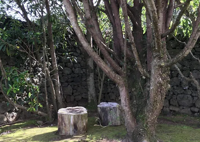 Habitación en casa particular Sermar