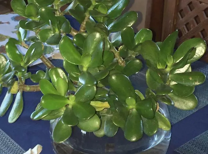 Sermar Habitación en casa particular *